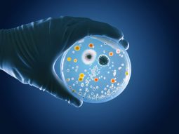 microbioma olobiotico