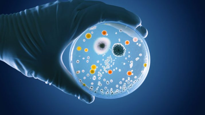 microbioma olobiotico