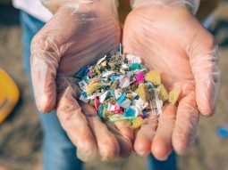 microplastiche nelle mani canva